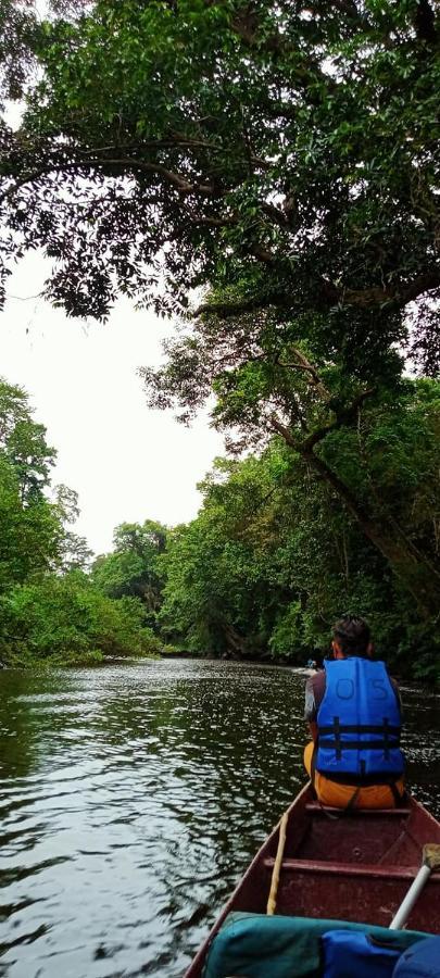Belebar Studio Room Taman Negara Pahang Malaysia Kuala Tahan Ngoại thất bức ảnh